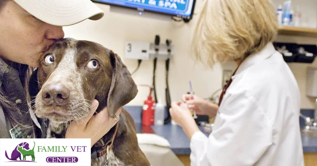 vet clinic in sheikh zayed